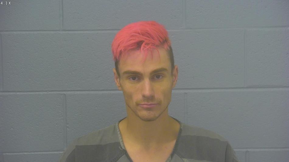 Arrest photo of JOSHUA PLATT