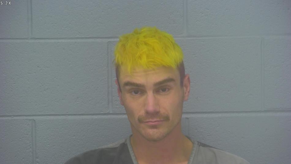 Arrest photo of JOSHUA PLATT