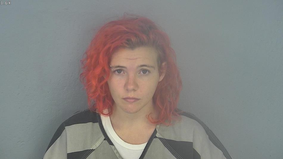 Arrest photo of JOY SPURLOCK