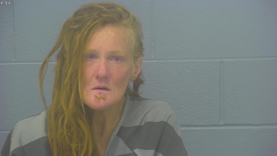 Arrest Photo of JULIA CUMMINGS, arrested on 11/23/2024