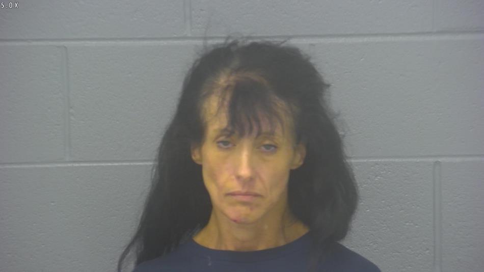 Arrest photo of JULIE GANN