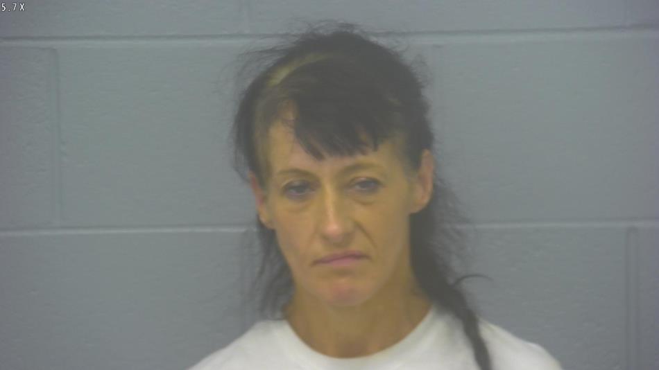 Arrest photo of JULIE GANN