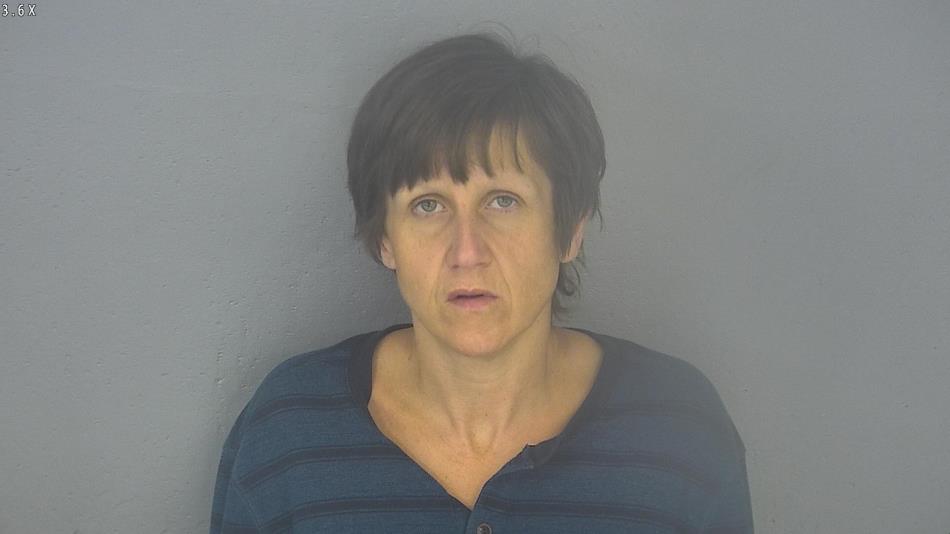 Arrest photo of JULIE STEVENS