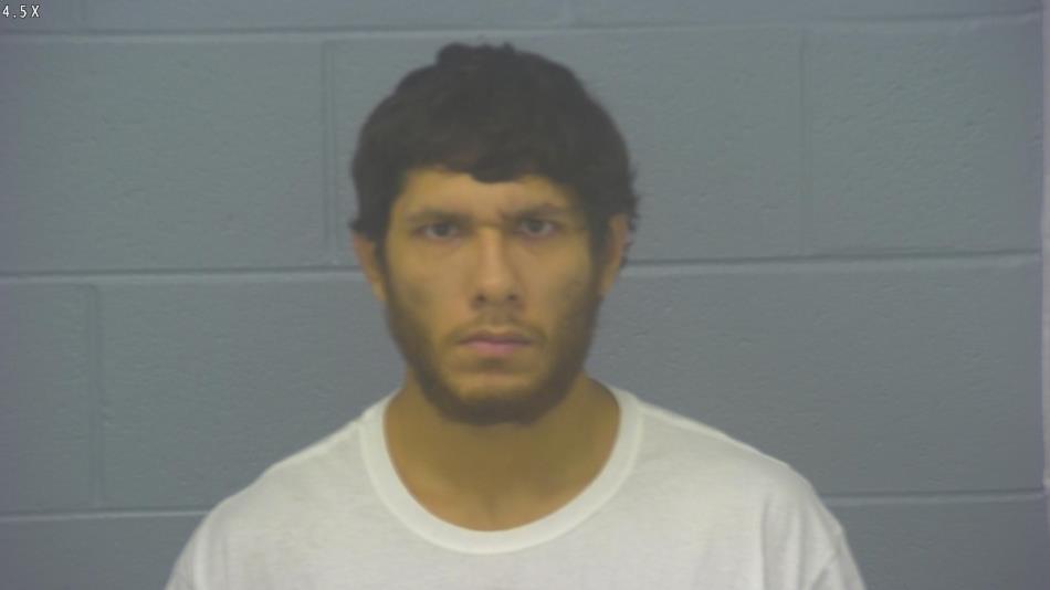 Arrest photo of JULIO MARTINEZ