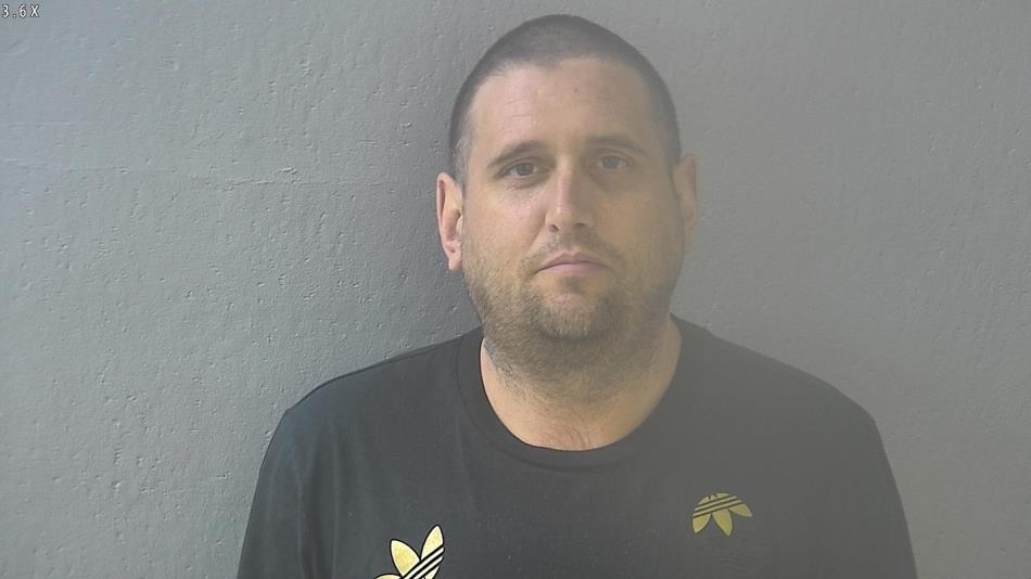 Arrest photo of JUSTIN LYELL