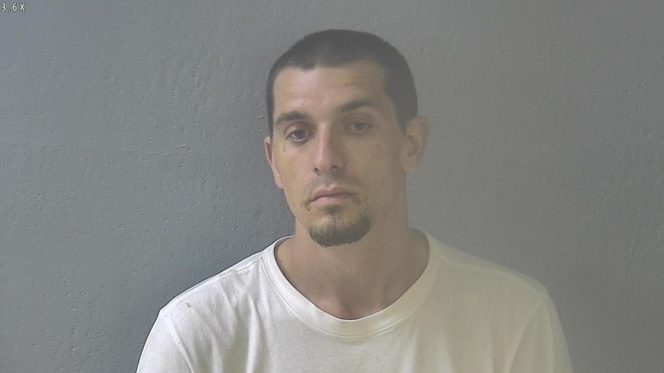 Arrest photo of JUSTIN BROWN