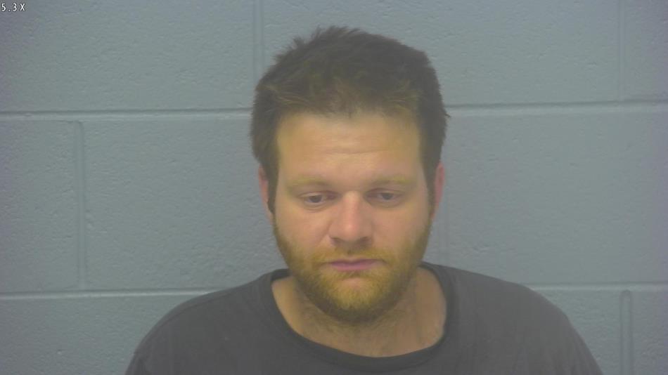 Arrest photo of JUSTIN MCLANE