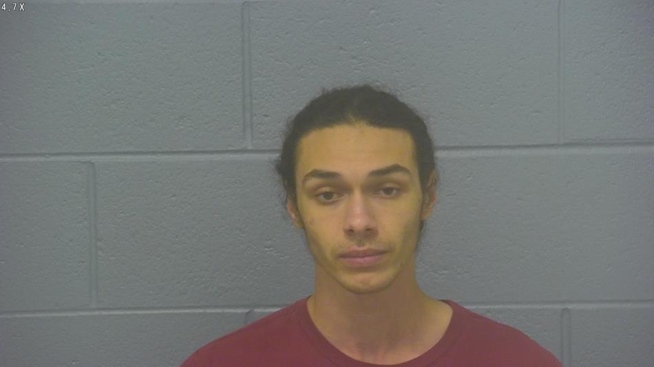 Arrest photo of KAEDIN HARTLEY