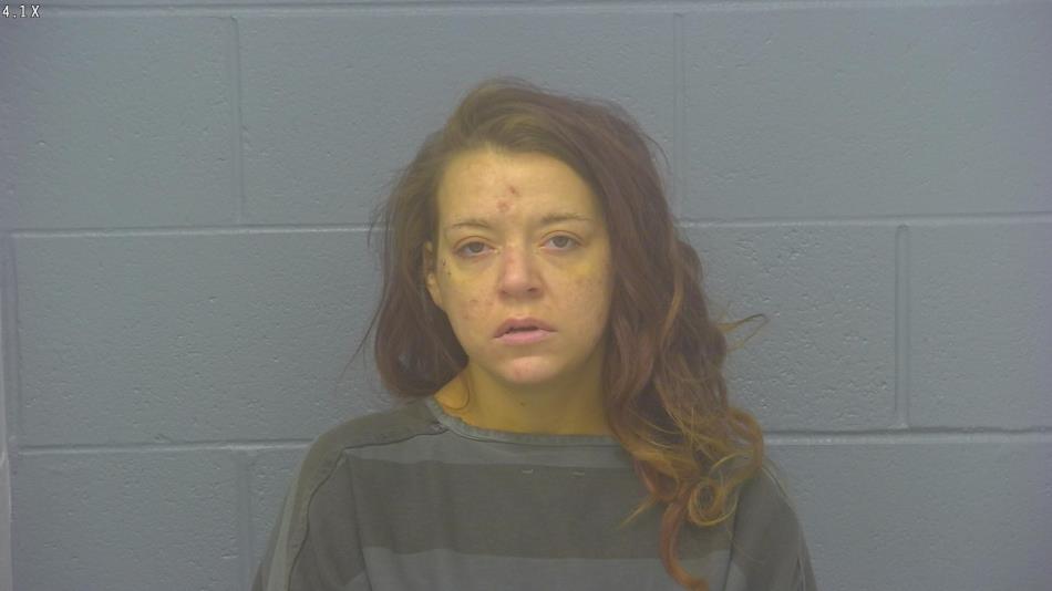 Arrest photo of KAITLIN STALEY