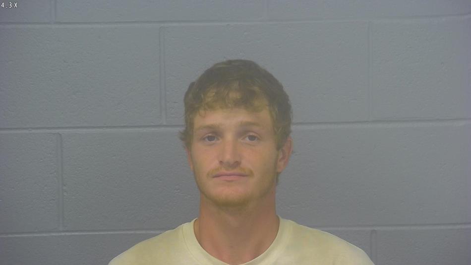 Arrest photo of KALEB WILSON