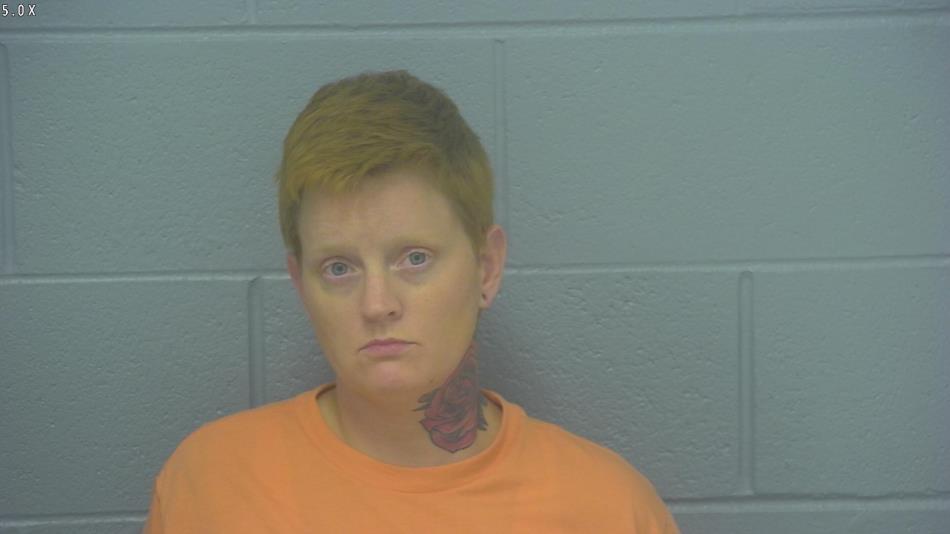 Arrest photo of KARA CLEMENTS