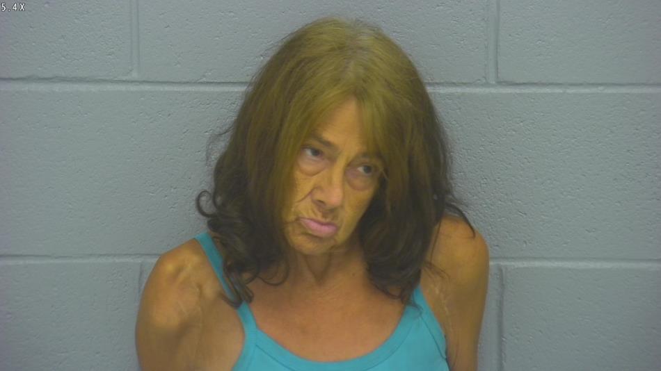 Arrest photo of KAREN SLOAN