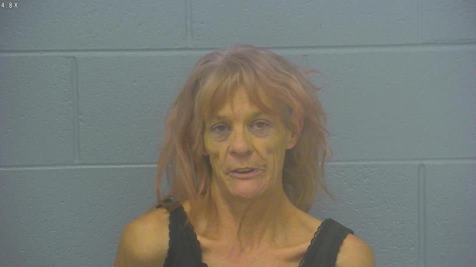 Arrest photo of KAREN COX