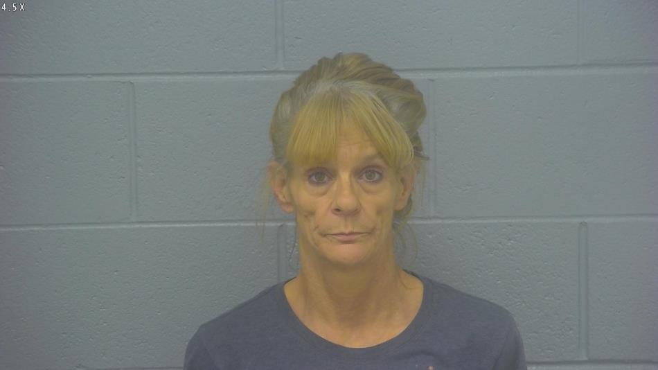 Arrest photo of KAREN COX