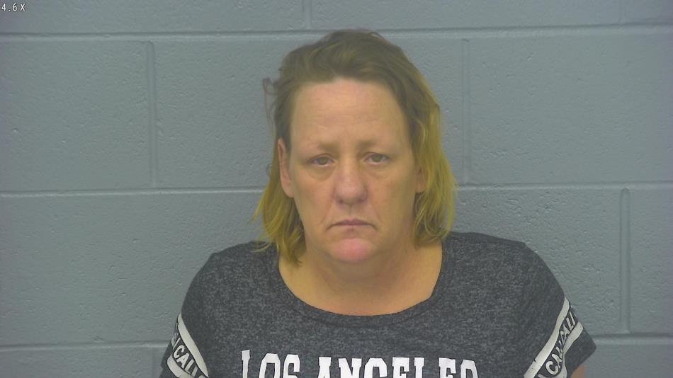 Arrest photo of KAREN JOHNSON