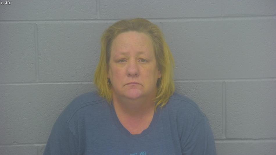 Arrest Photo of KAREN JOHNSON, arrested on 12/30/2024