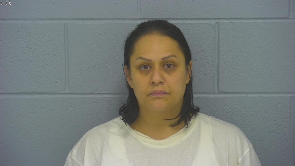 Arrest photo of KARI LEWIS