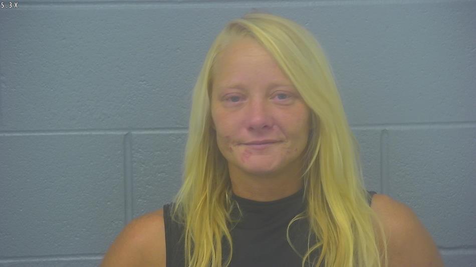 Arrest photo of KARLEE SHOOK