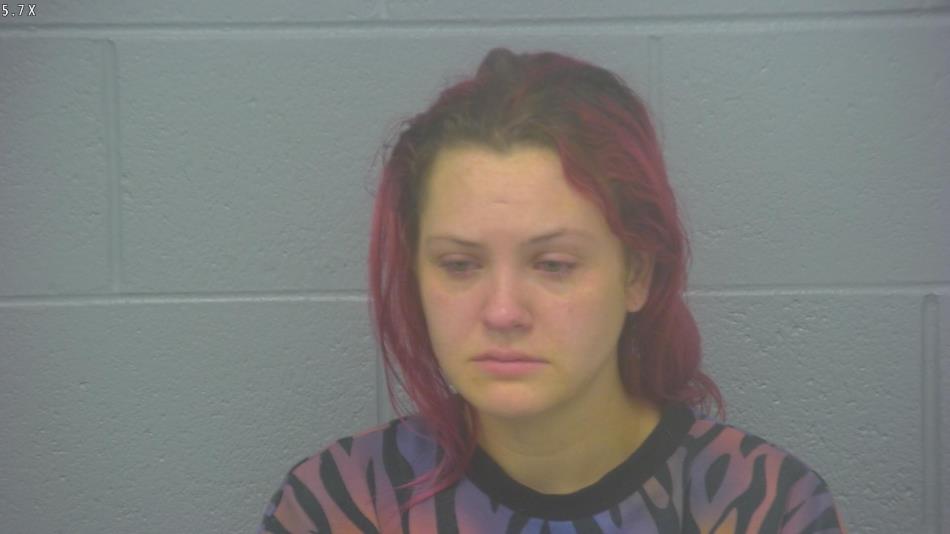 Arrest photo of KASSANDRA ALLEY