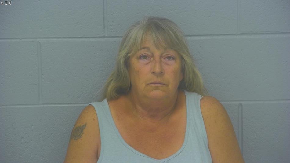 Arrest photo of KATHI OSTRANDER