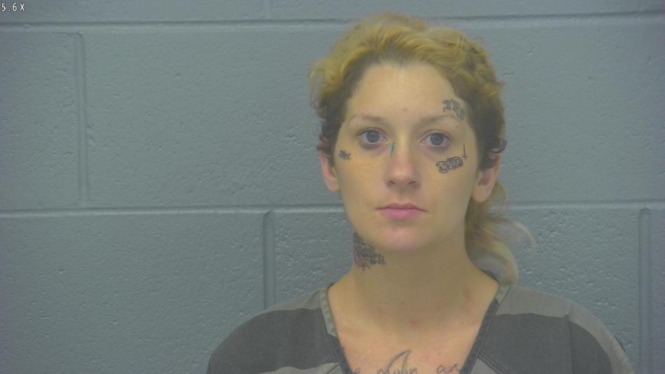 Arrest photo of KATI LEWIS