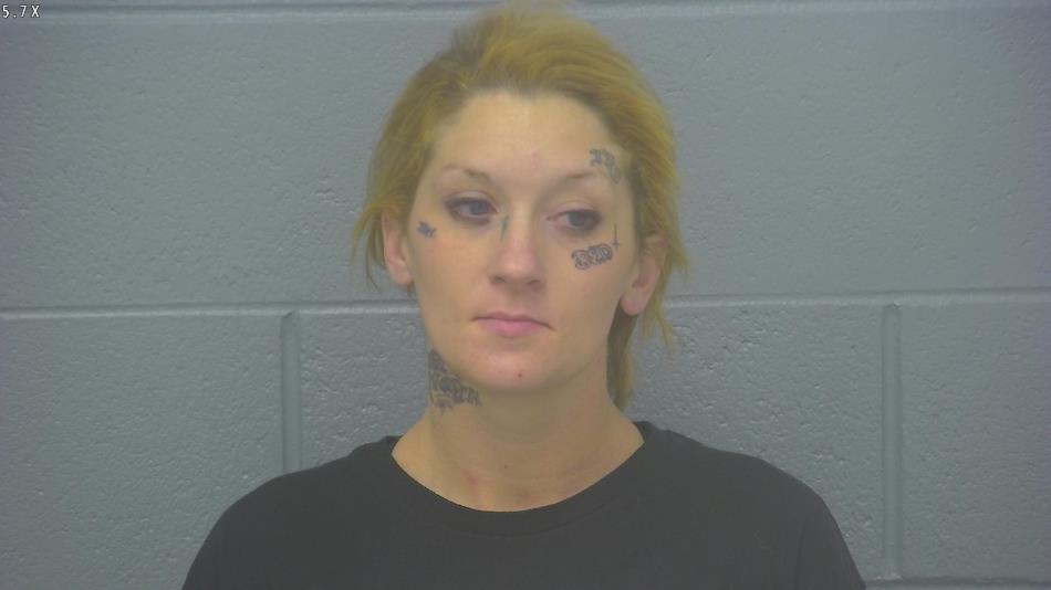 Arrest photo of KATI LEWIS