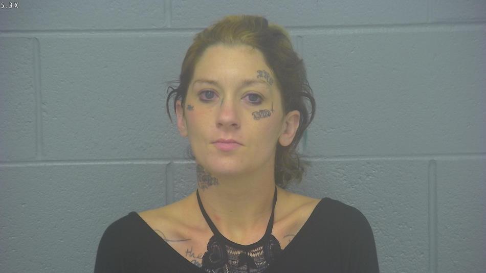 Arrest photo of KATI LEWIS