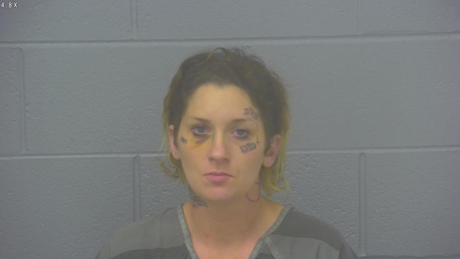 Arrest Photo of KATI LEWIS, arrested on 12/30/2024