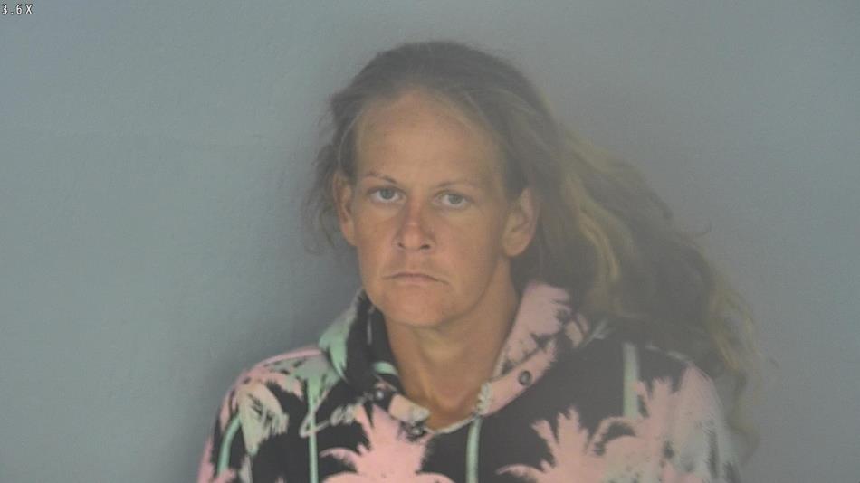 Arrest photo of KATIE CHEAVENS