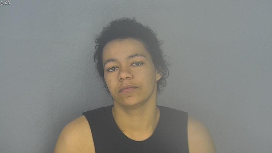 Arrest photo of KATRECE DENNIS