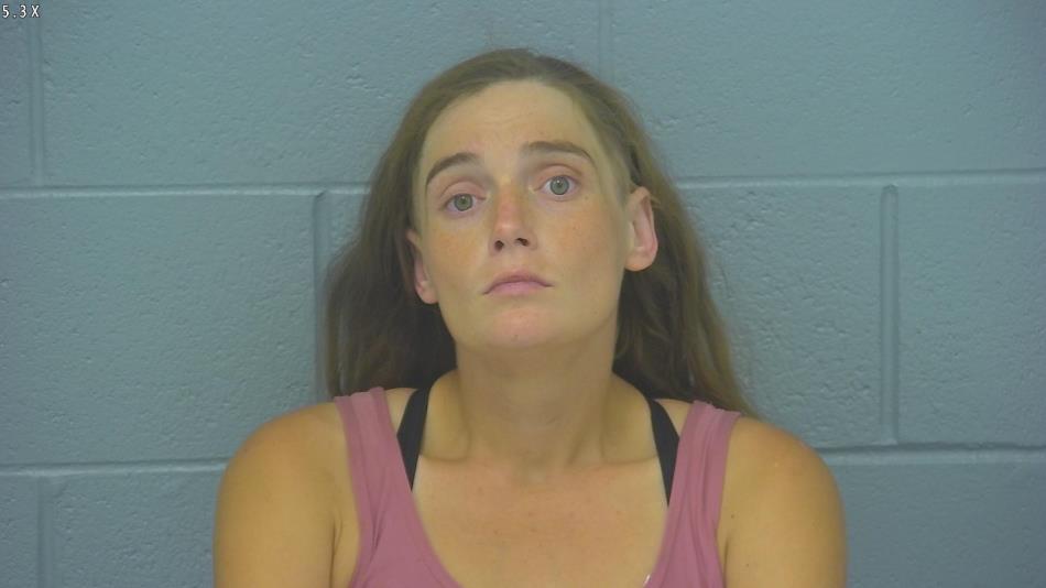 Arrest photo of KAYLA BROWN