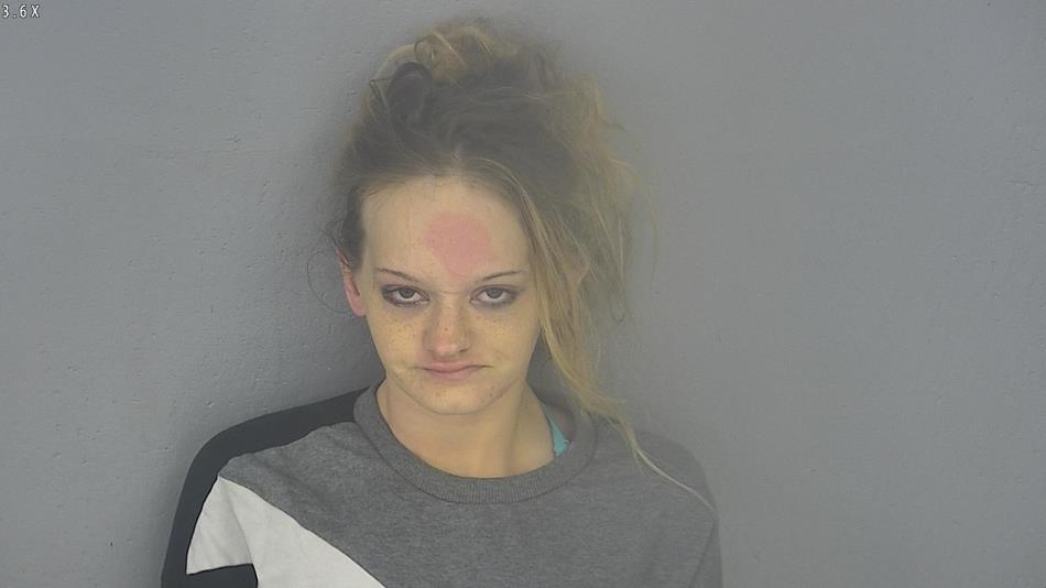 Arrest photo of KAYLEE SUNTKEN