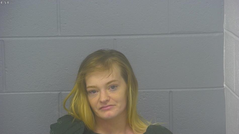 Arrest photo of KAYLEE SUNTKEN