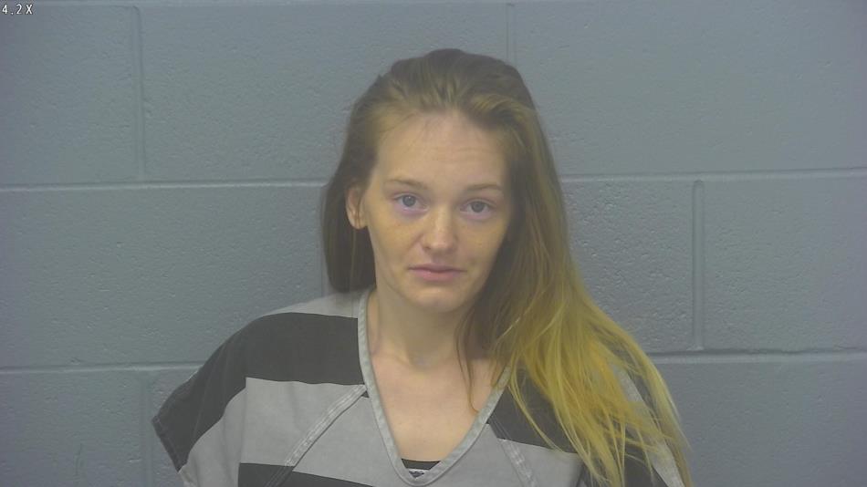 Arrest photo of KAYLEE SUNTKEN