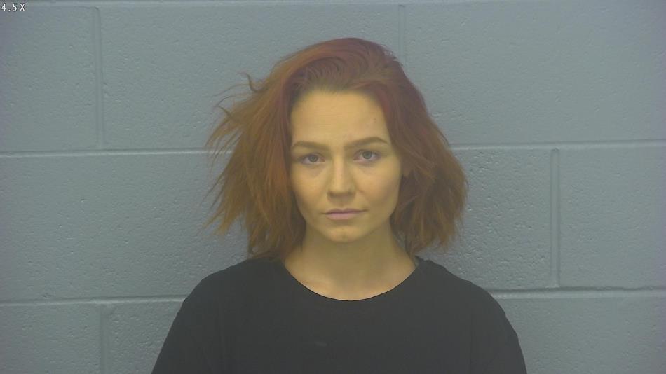 Arrest photo of KAYLEIGH FERGUSON