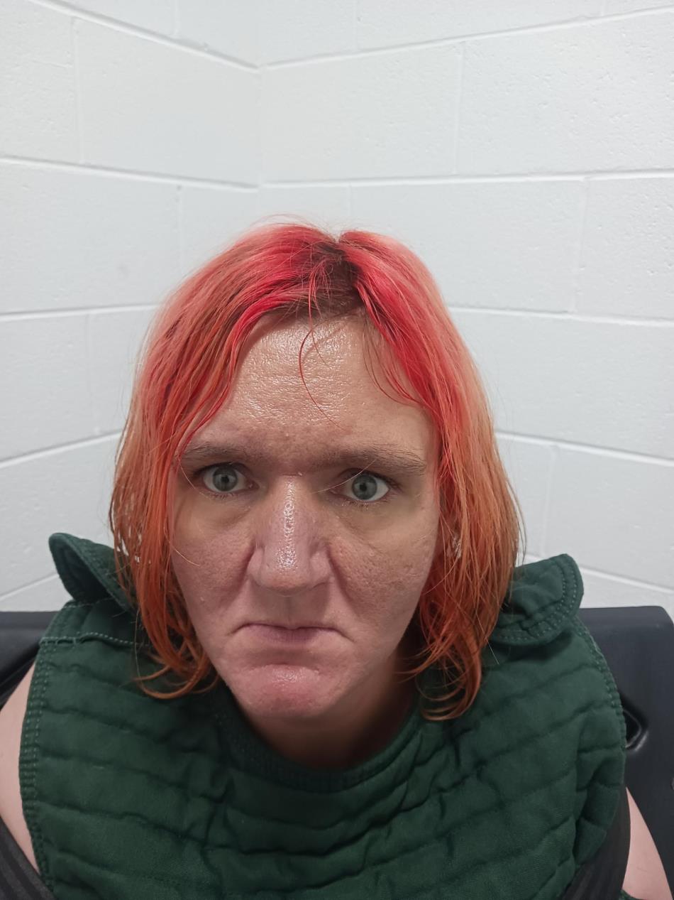 Arrest photo of KAYLENE KROLL