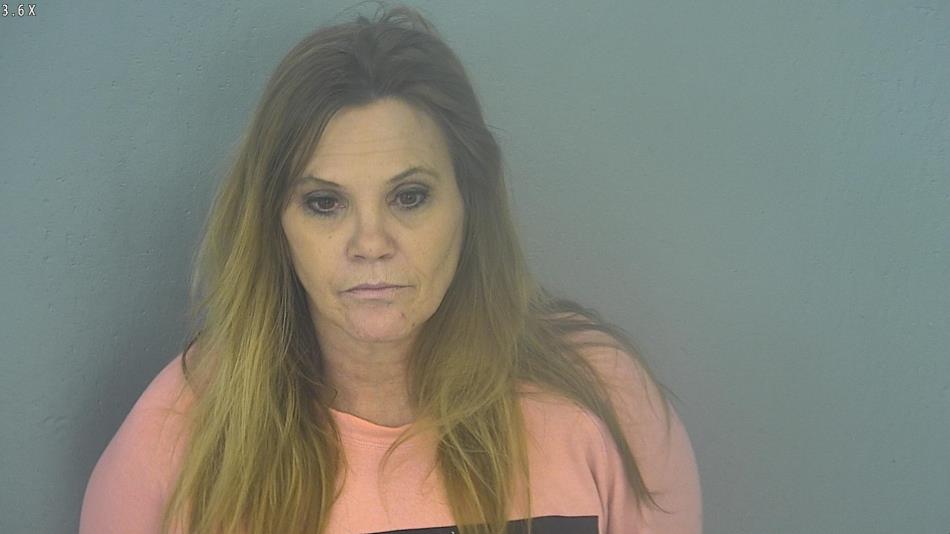 Arrest photo of KELLY FITZSIMMONS
