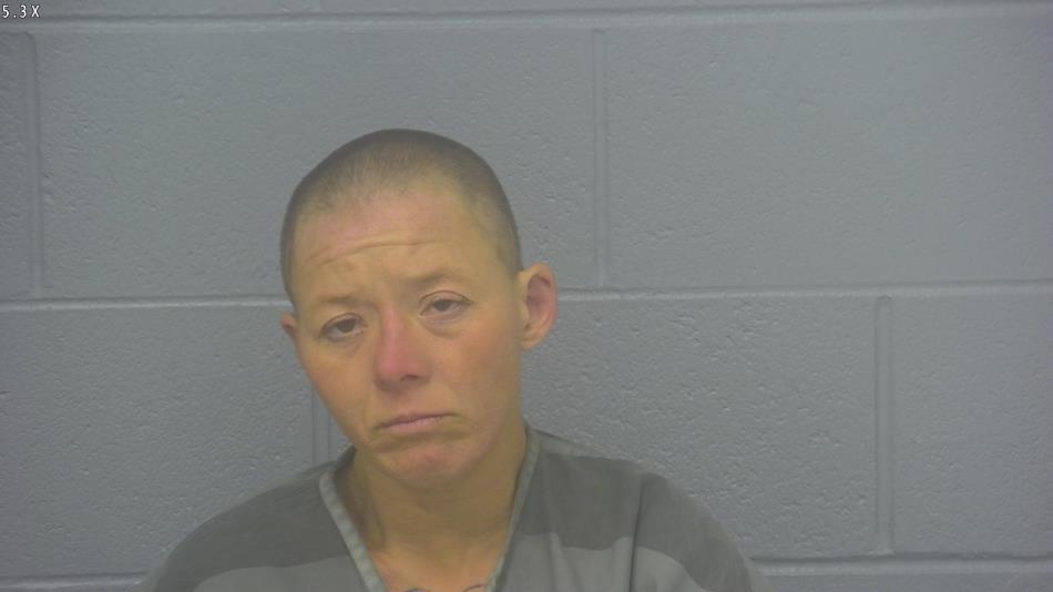 Arrest photo of KENDRA WILLIAMS