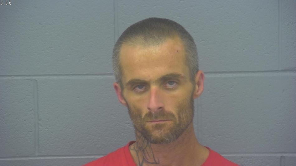 Arrest photo of KENNETH LOWRY