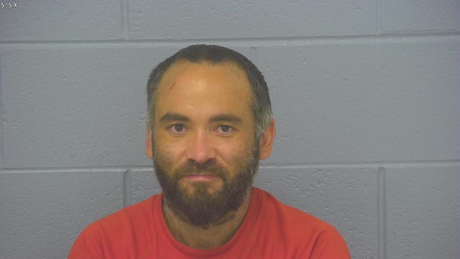 Arrest photo of KENNY MEGOWN