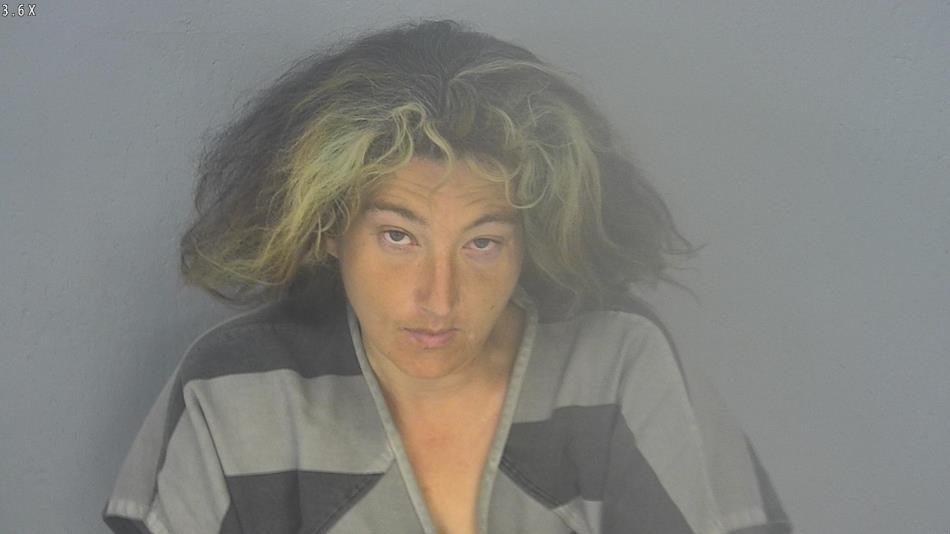 Arrest photo of KERRI MITCHELL