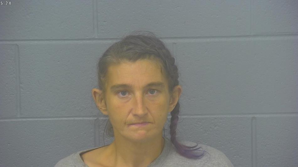 Arrest photo of KERRI MITCHELL