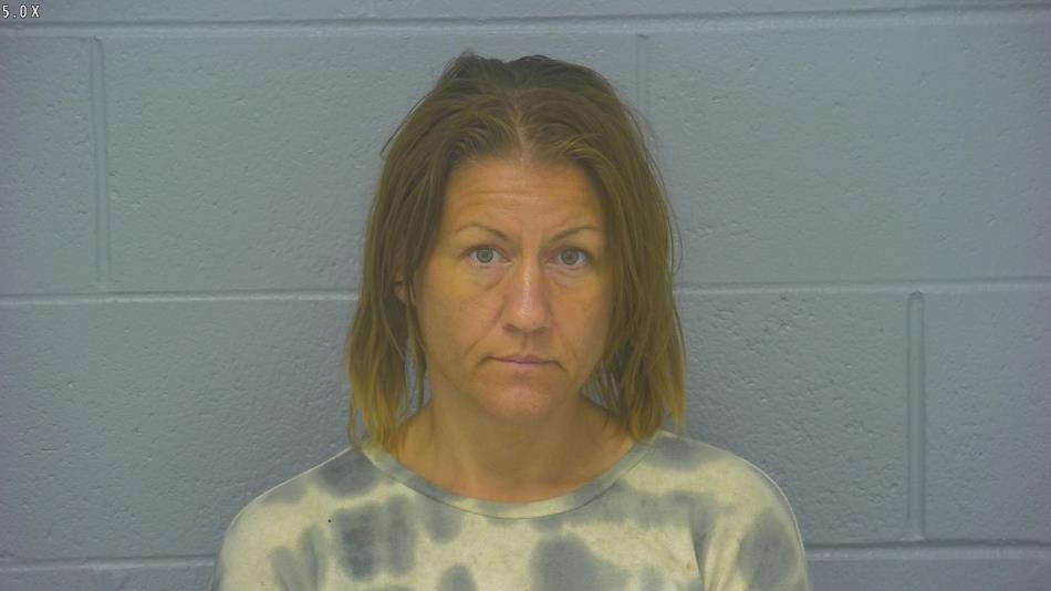 Arrest photo of KERRIE MISENKO