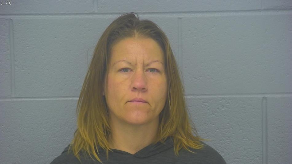 Arrest photo of KERRIE MISENKO