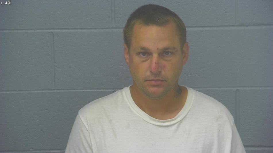 Arrest photo of KEVIN SWANSON