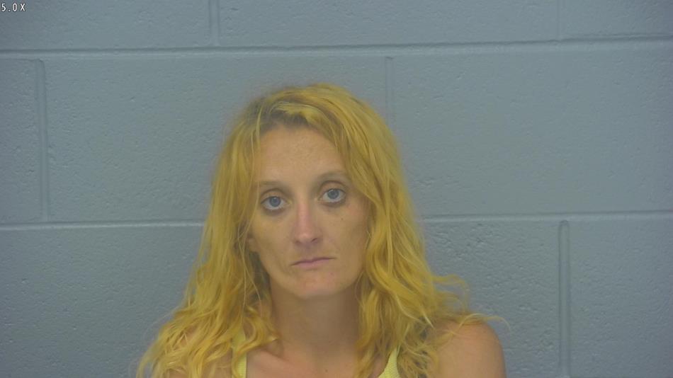 Arrest photo of KIMBERLY PFLEIDERER