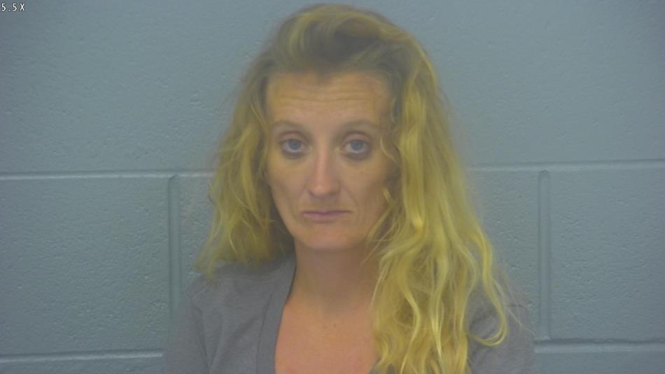 Arrest photo of KIMBERLY PFLEIDERER