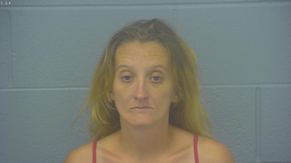 Arrest photo of KIMBERLY PFLEIDERER