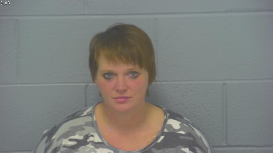 Arrest photo of KRISTEN CRAWFORD