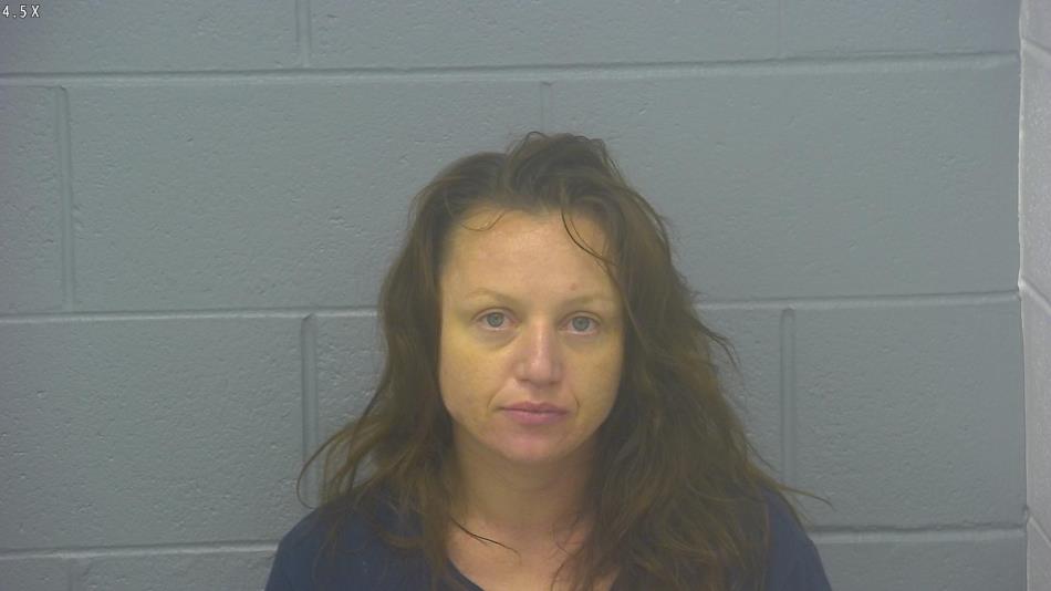 Arrest photo of KRISTI CROUCH